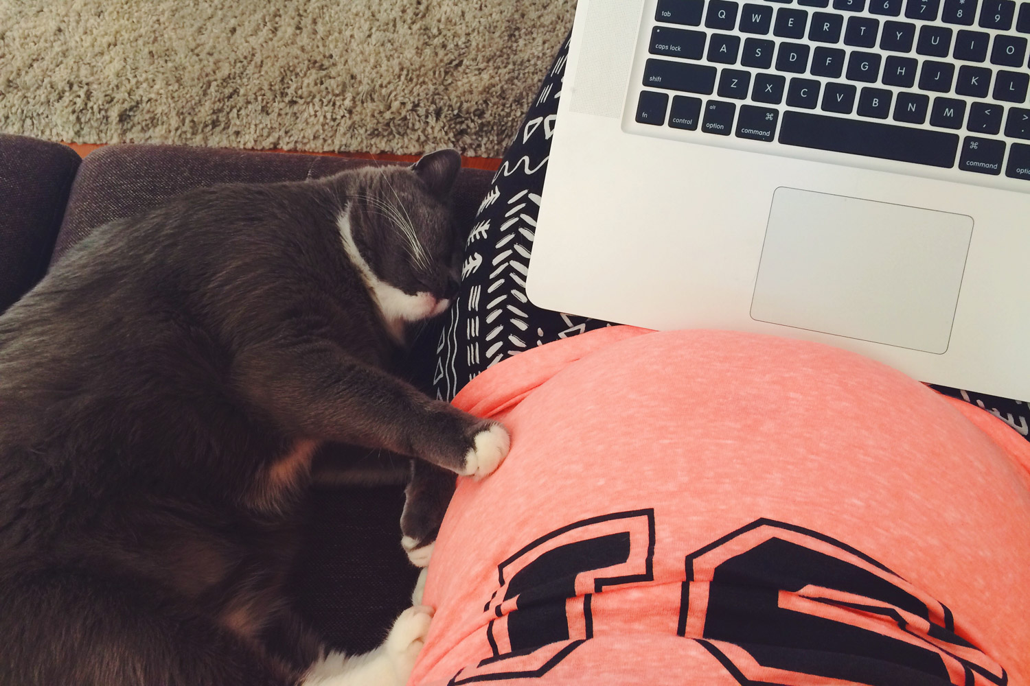Pregnant mother working with laptop and cat curled up alongside.