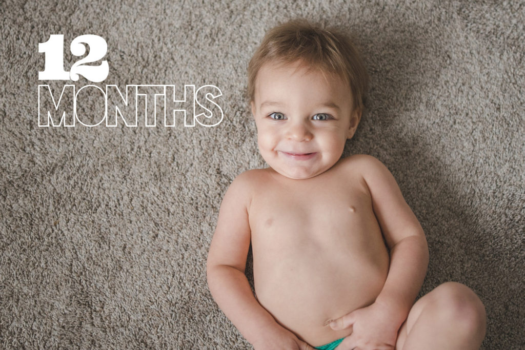 Lincoln at 12 Months | Digital Baby Book